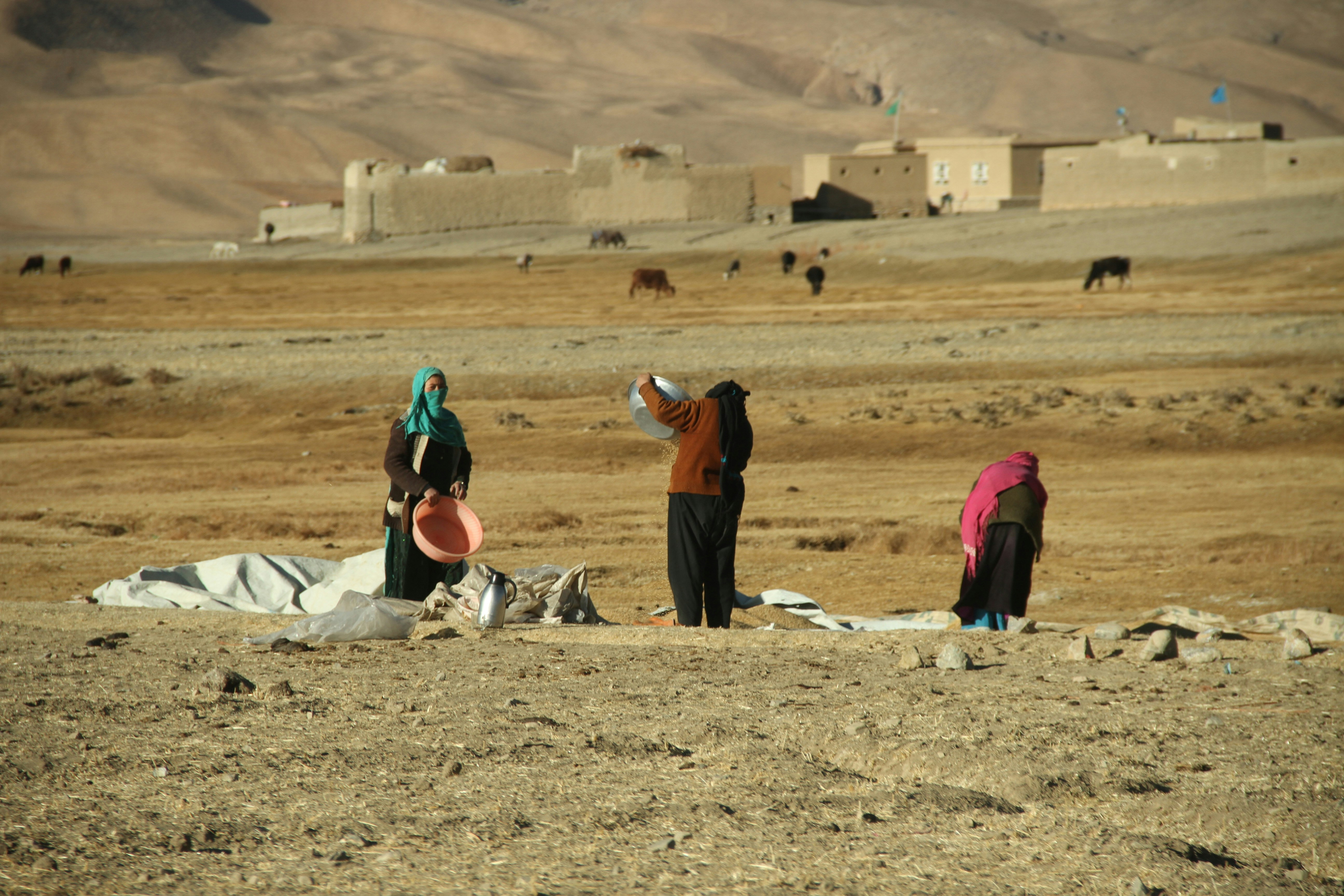 Community development project 1
